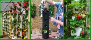 Simple planter ideas for small gardens tubes