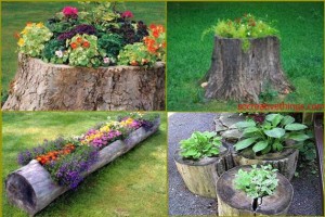 Natural Garden Planters