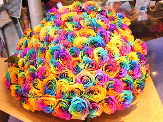 How To Make Rainbow Roses So Creative Things Rainbow Roses 5
